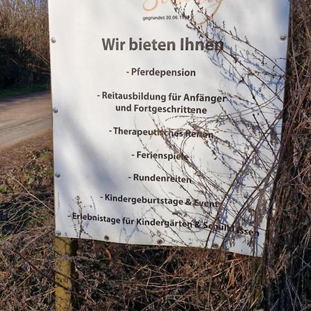 Ferienwohnung Halle/Lettin Halle  Luaran gambar