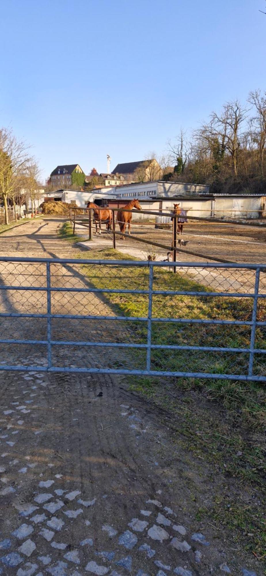 Ferienwohnung Halle/Lettin Halle  Luaran gambar